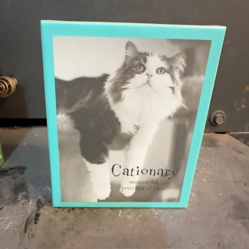 Cationary Meaningful‎ Portraits of Cats Note Cards by Sharon Montrose